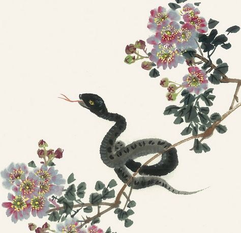 蛇什么时辰出生好 2b52915728374b89819aaacfd0bebc3c.jpeg