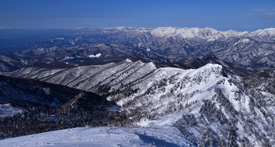 今年家电厂商最需要的不是信心，而是全员营销深耕本土市场！-家电圈官网
