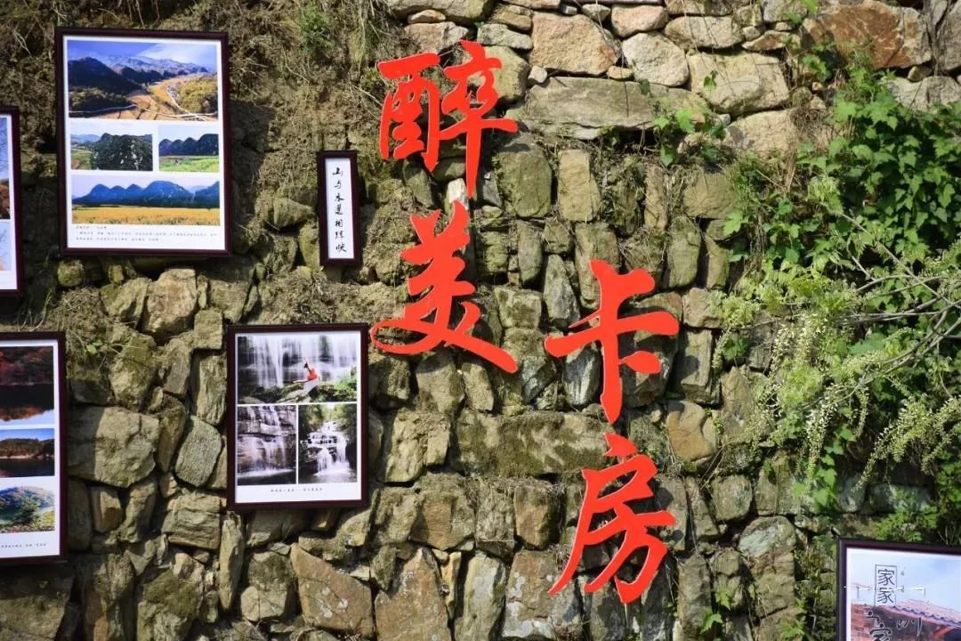 新县卡房乡首届"杜鹃红"文化旅游季活动启动,六百亩杜鹃花海等你来