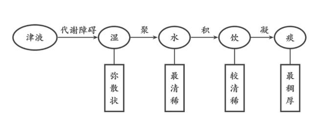 水湿痰饮百病皆由痰作祟