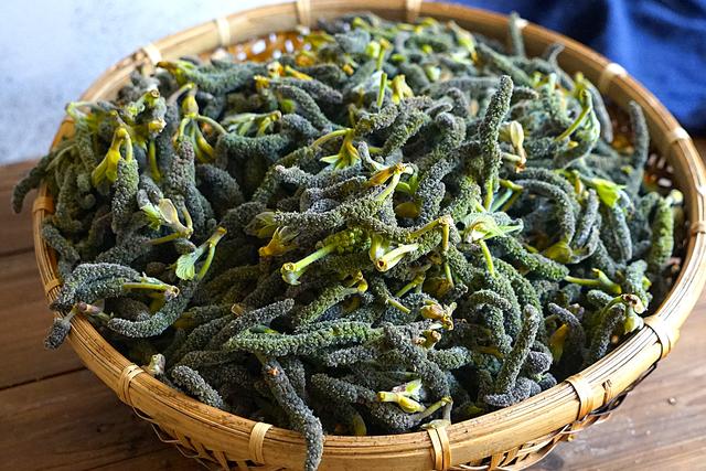 自从学会这招储存楮树花我家每年摘30斤一年都能吃到新鲜的花