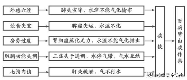 水湿痰饮百病皆由痰作祟