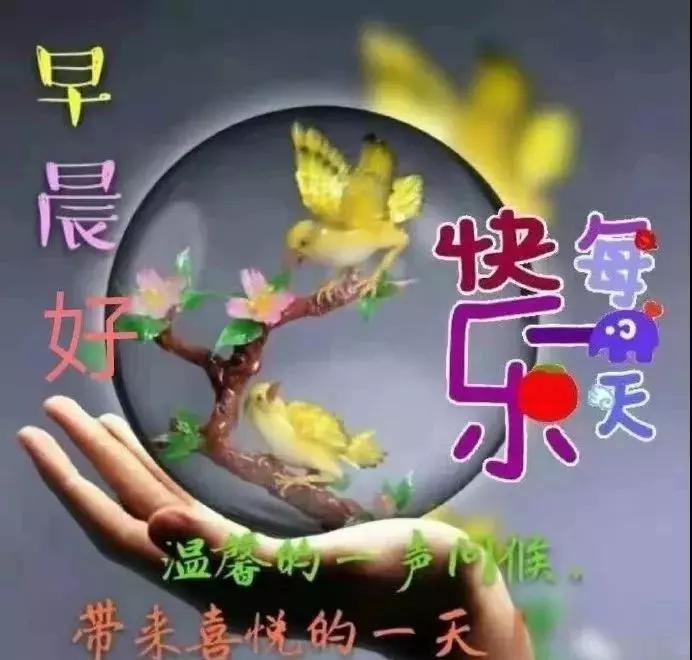 健康每一天幸福到永遠早上好圖片問候語大全