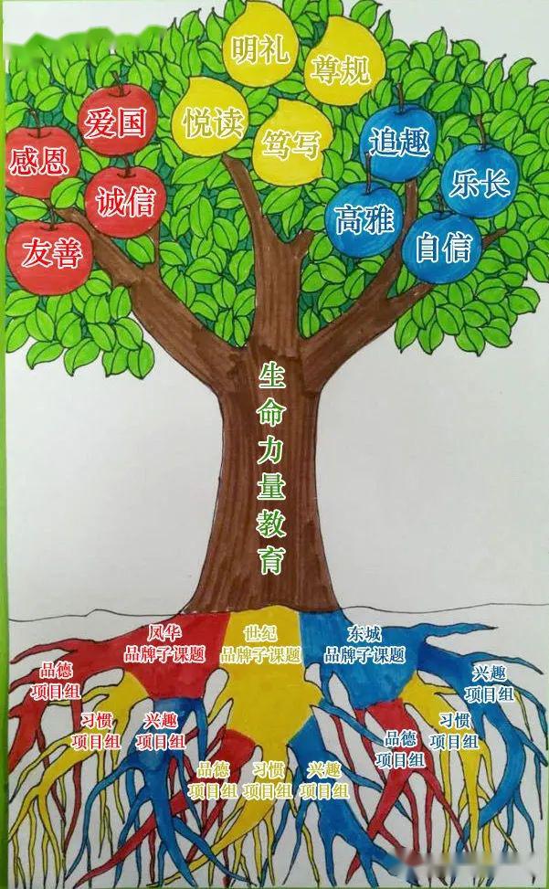 生命力量教育课题做什么生命力量之树一目了然