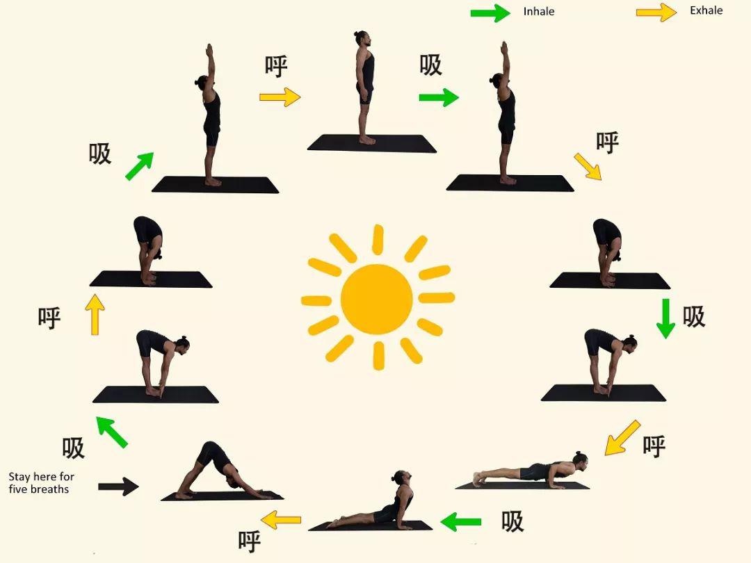 下犬式明明是休息,为什么你却越练越累?