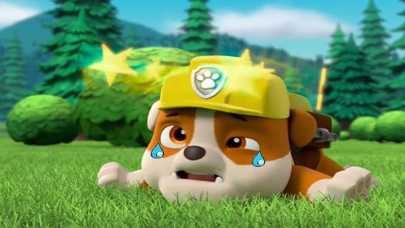 狗狗巡逻队小砾摔倒受伤哭泣汪汪队立大功