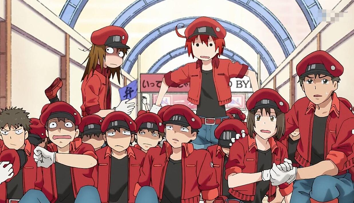 工作细胞第二季和剧场版要来了,萌物血小板回归,awsl!_动漫吧