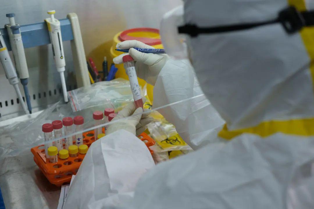 记者探访新型冠状病毒核酸原来是这样检测的