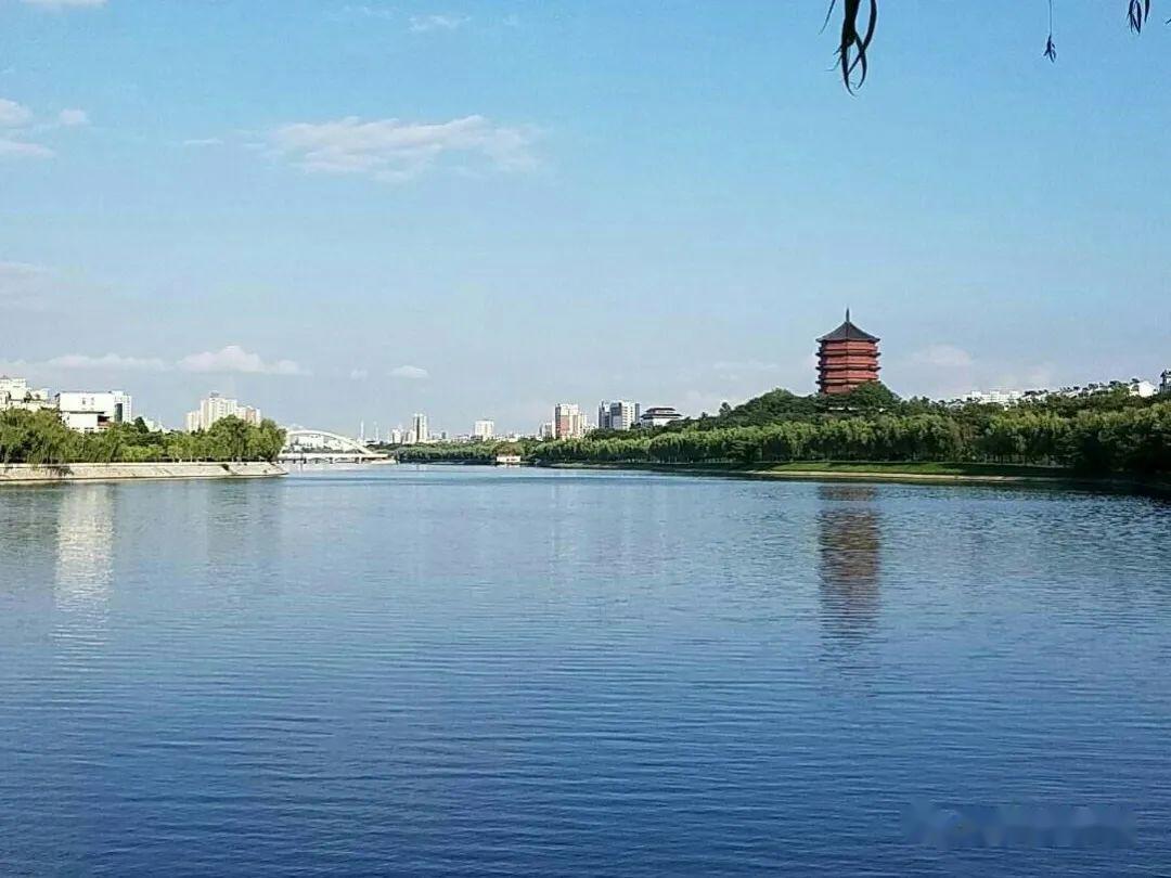 信阳毛尖主产区黑龙潭