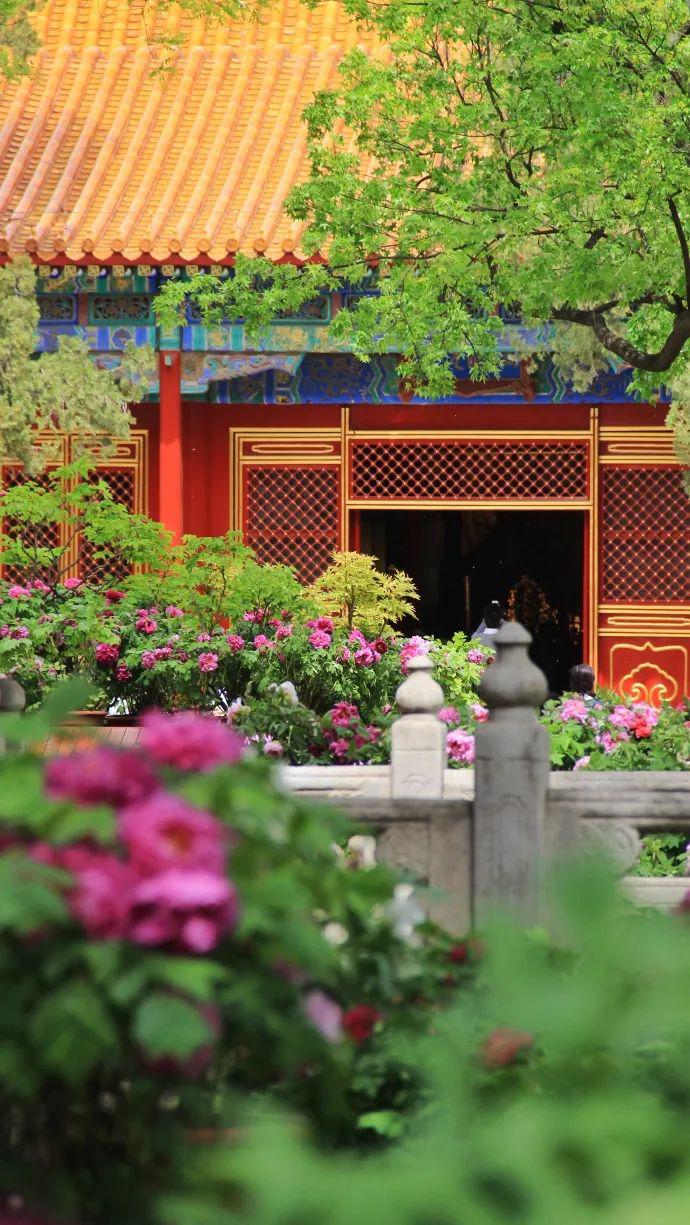 忽然想去故宫了