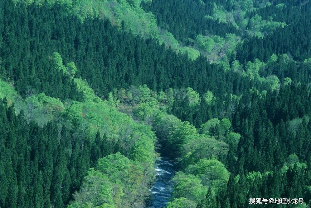 如果现在地球上的森林面积增加一倍,对地理环境会有怎样的影响?