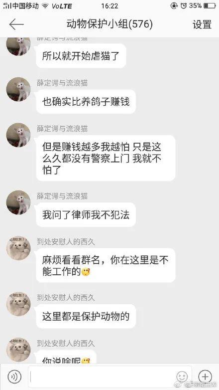 范源庆只不过是替罪羔羊虐猫背后的黑色产业链肮脏到你无法想象