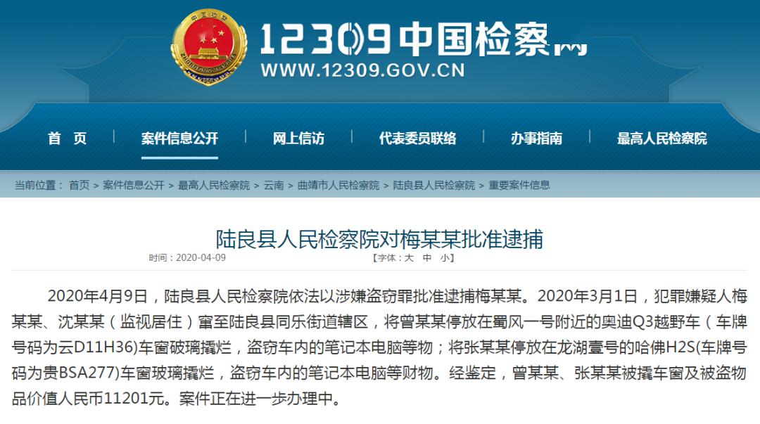 陆良县人民检察院对梅某某批准逮捕沈某东,男,28岁,中枢茶花村委会沈