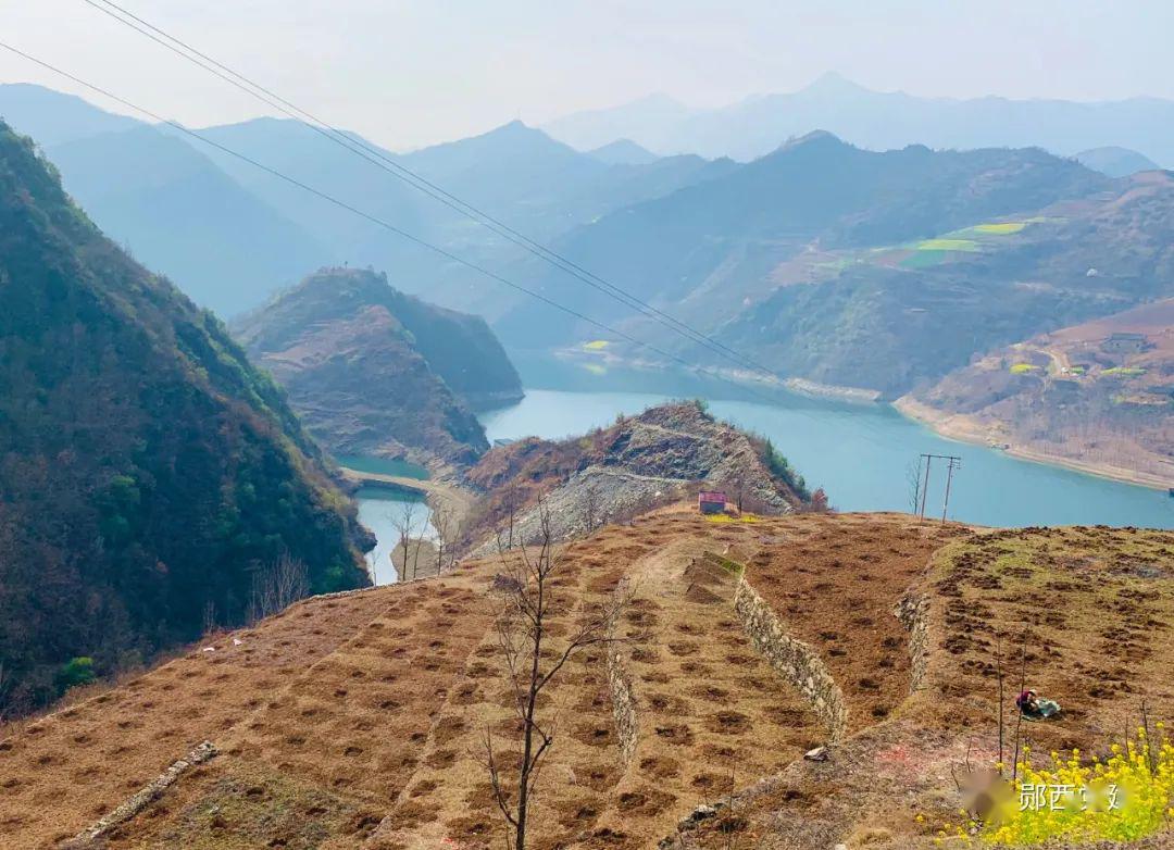 郧西六郎乡三部曲奏响产业发展最强音