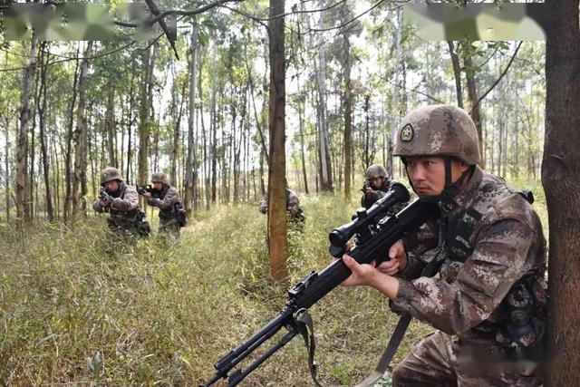 《侦察兵养成手册》——教你成为一名合格的侦察兵-搜狐大视野-搜狐新闻
