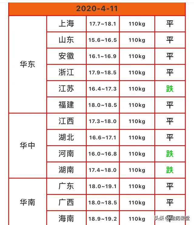 今日豬價繼續下滑20200411全國生豬價格表