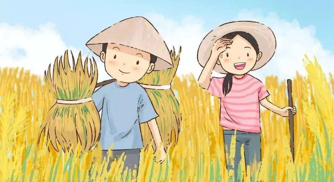 农场主的未来仅仅是下地插秧