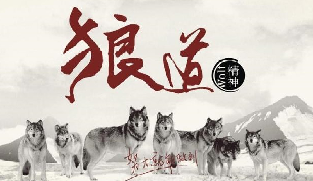 还是李云龙的那句话,"狼走天下吃肉,狗走天下吃屎".做一条恶狼!