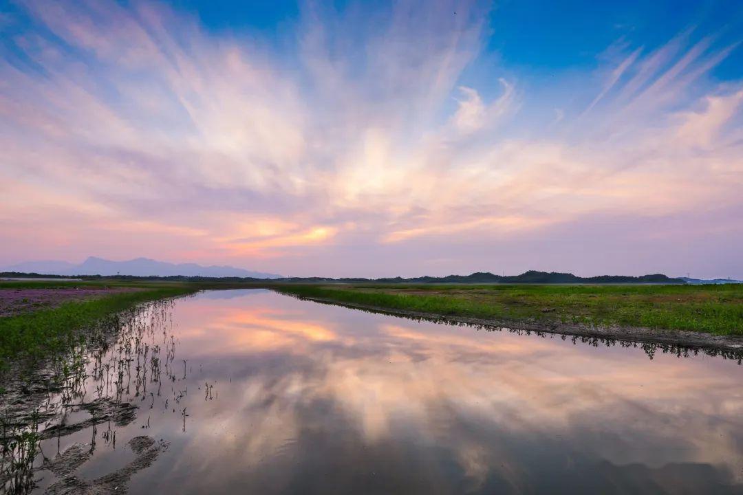 鄱阳湖湖口南北港湿地美若画卷