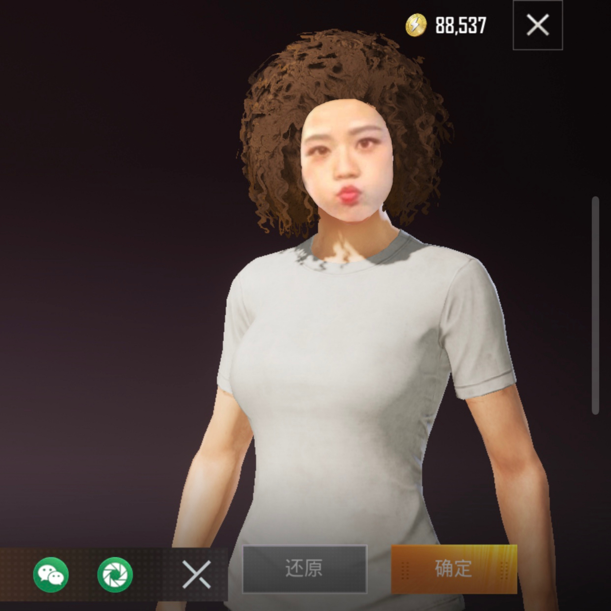 关于人脸合成系统的建议在刺激战场国际服里面光子已经加入了宠物系统