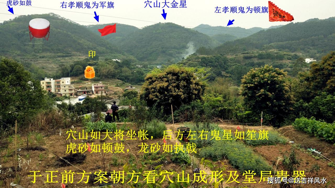 高山开出九脑芙蓉帐,惊现珍稀物种的老虎就藏在此大山中