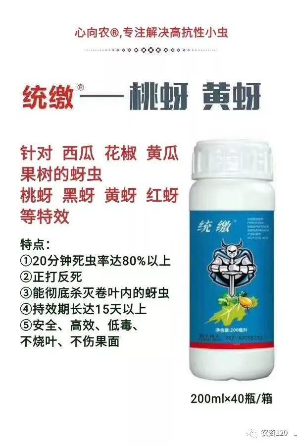 黑蚜黄蚜桃蚜等抗性蚜虫特效药统缴