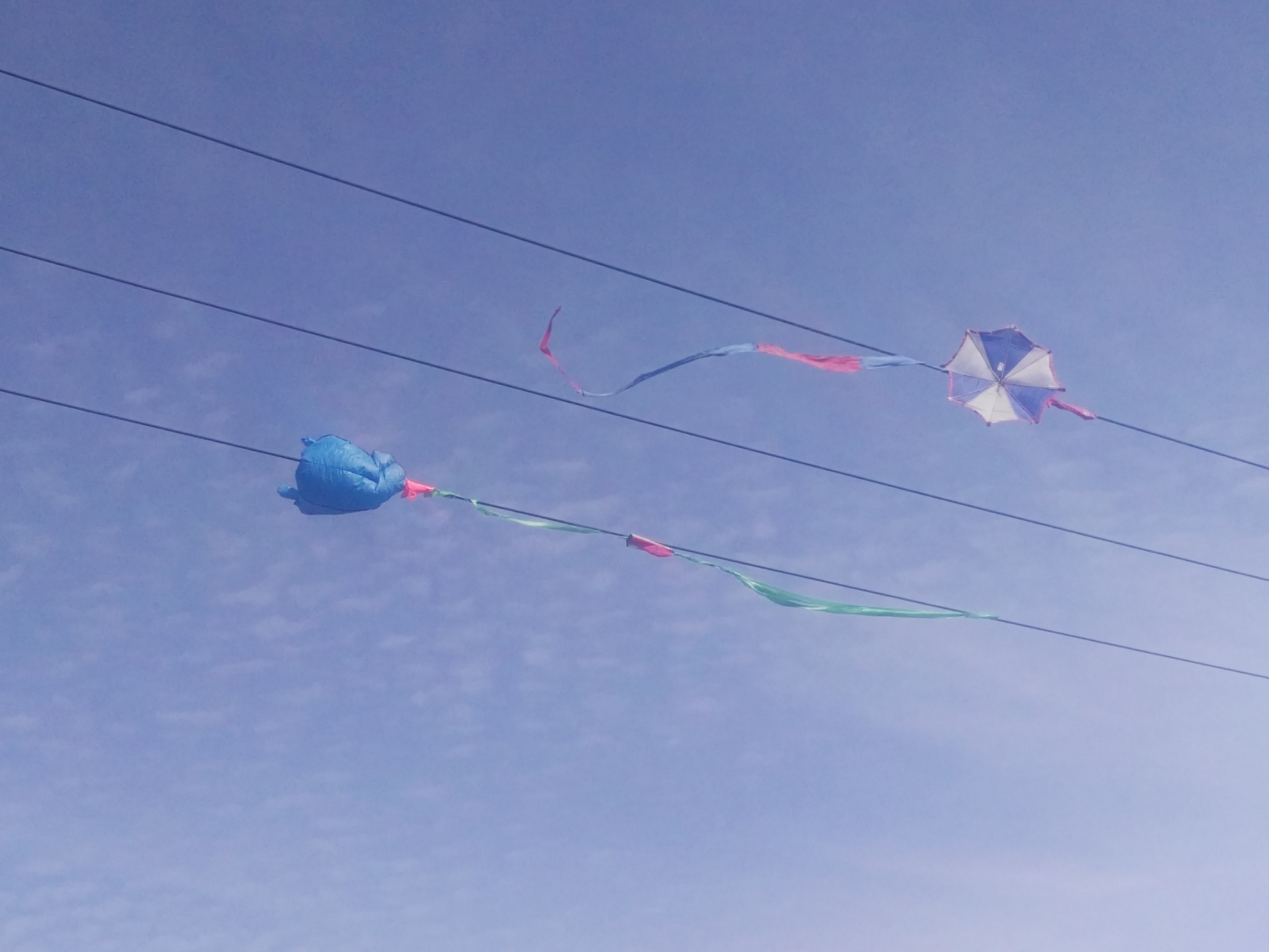 在长阳公园桥边上的高压线上挂着两个断了线的风筝.