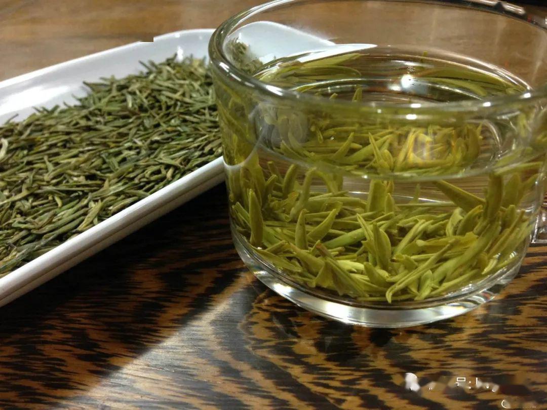 农67连天下走进连云港云雾茶赏满园春色品满口余香