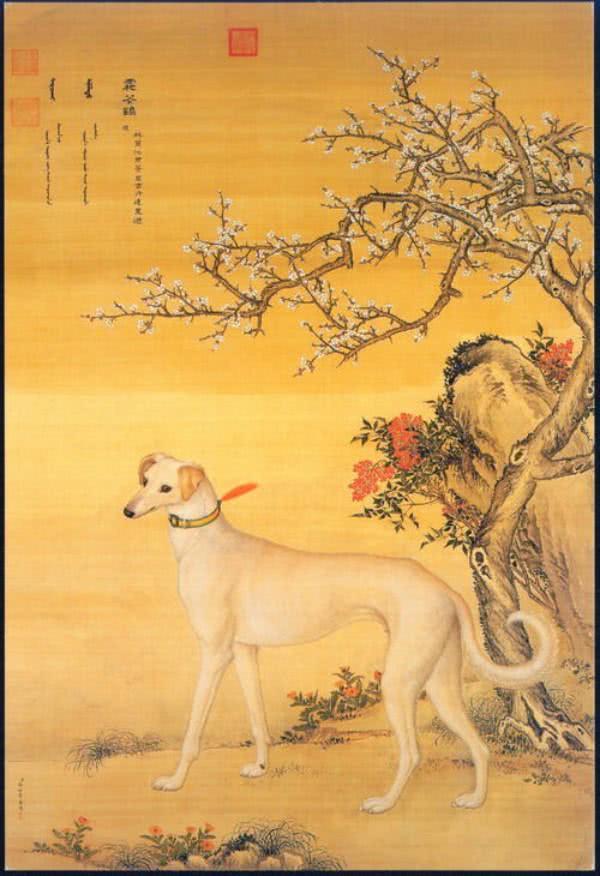 商人用于祭祀,勾践当作奖励,杨贵妃当作宠物,古代狗还有啥用?-搜狐大视野-搜狐新闻