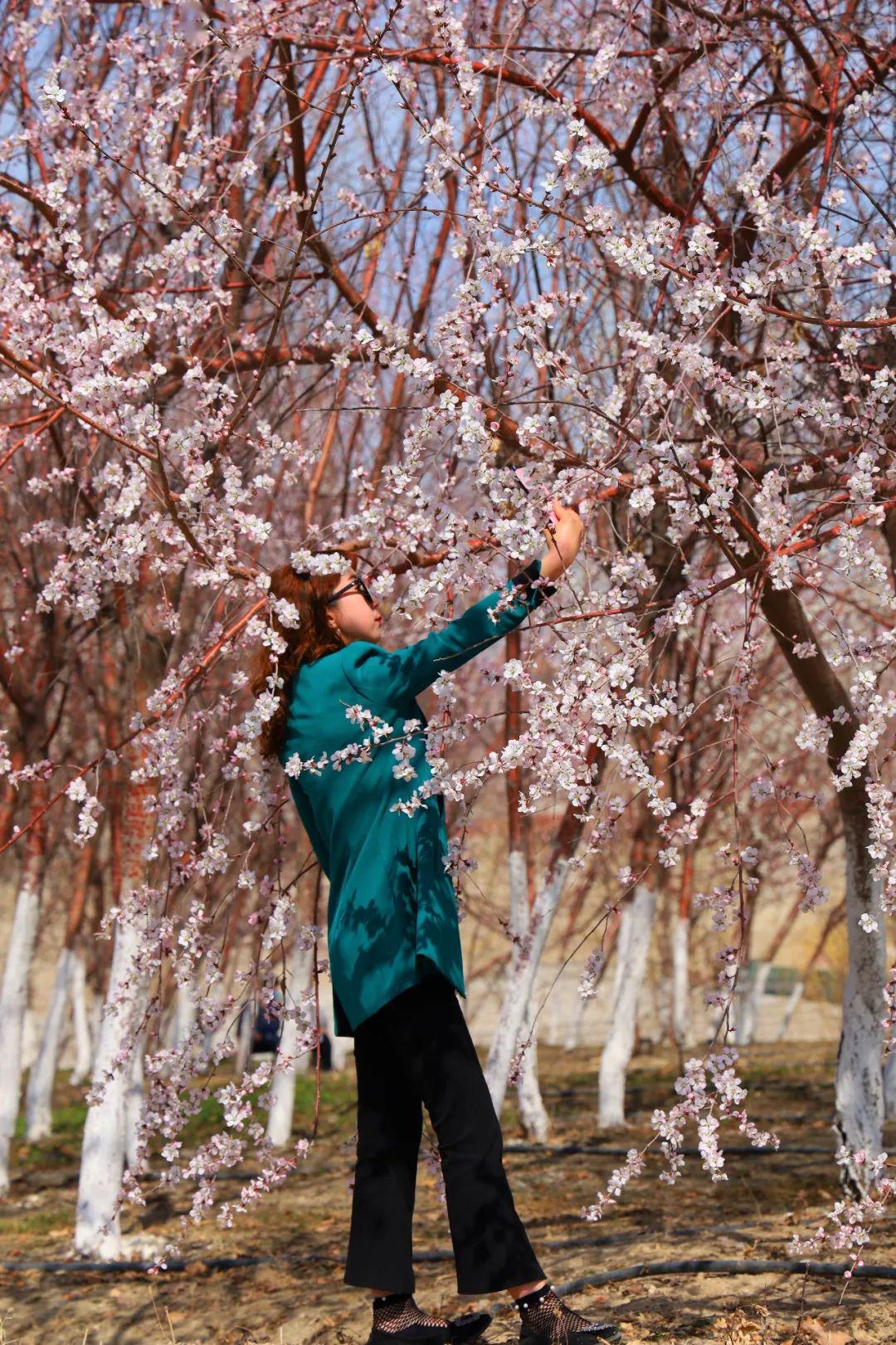 摄影师镜头下的博乐太美了吧