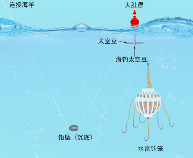 钓白鲢绝招图片