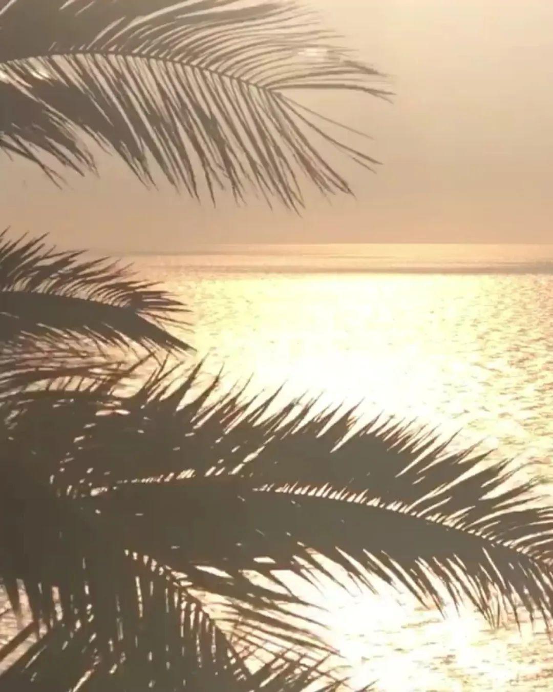 为什么人沮丧的时候都爱翻夏天的照片?