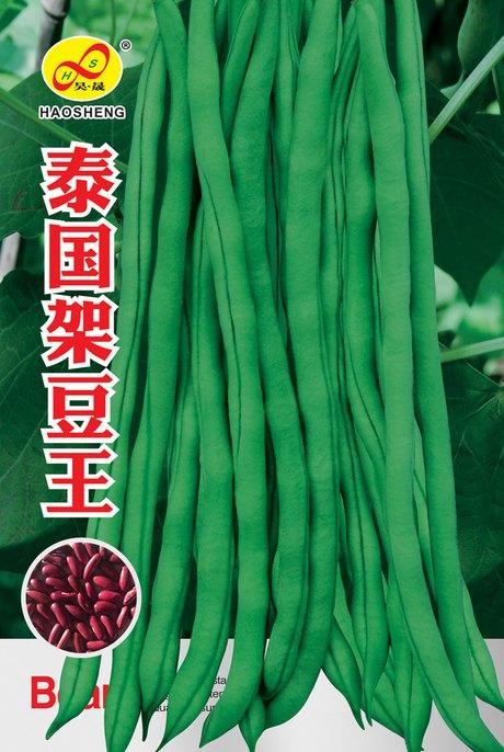 原创泰国架豆王芸豆种子豆角种子中熟高产抗热架豆王