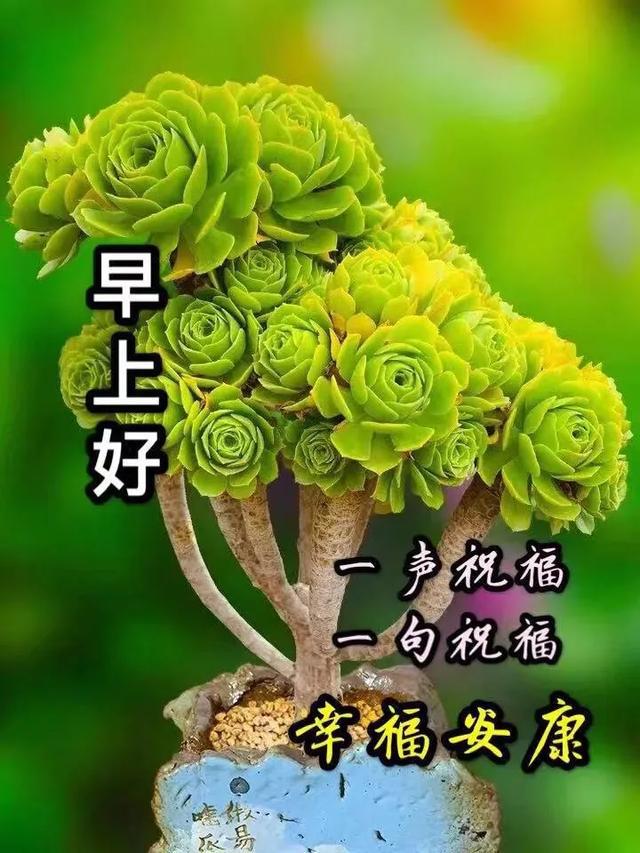 4月11日清晨早上好問候祝福動態表情圖片4月最新早安問候語大全