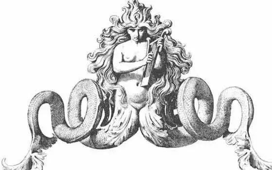 比如:双尾美人鱼还有很多调皮的姿势,那尾巴的柔韧度,绝对是鳗鱼或