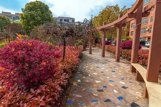 开学啦!固始县蓼城中学高三开学掠影