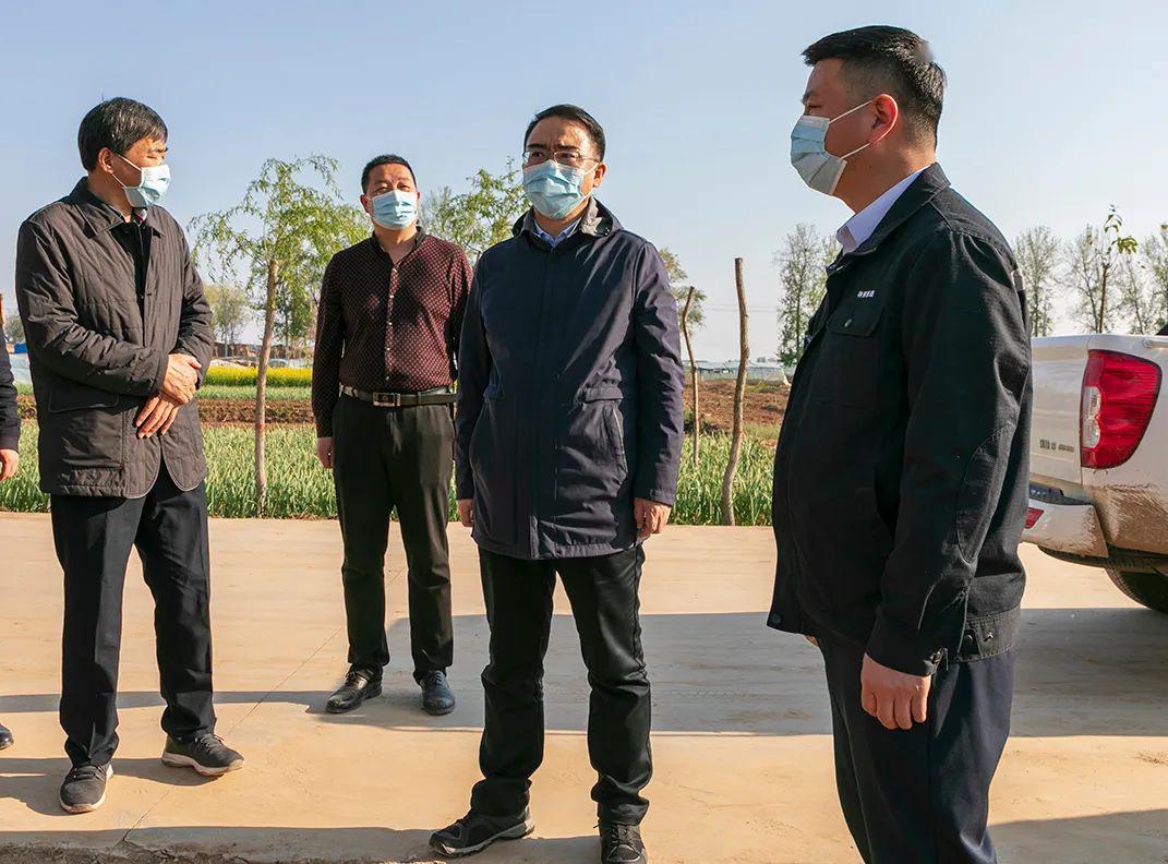 申涛调研检查人居环境整治工作