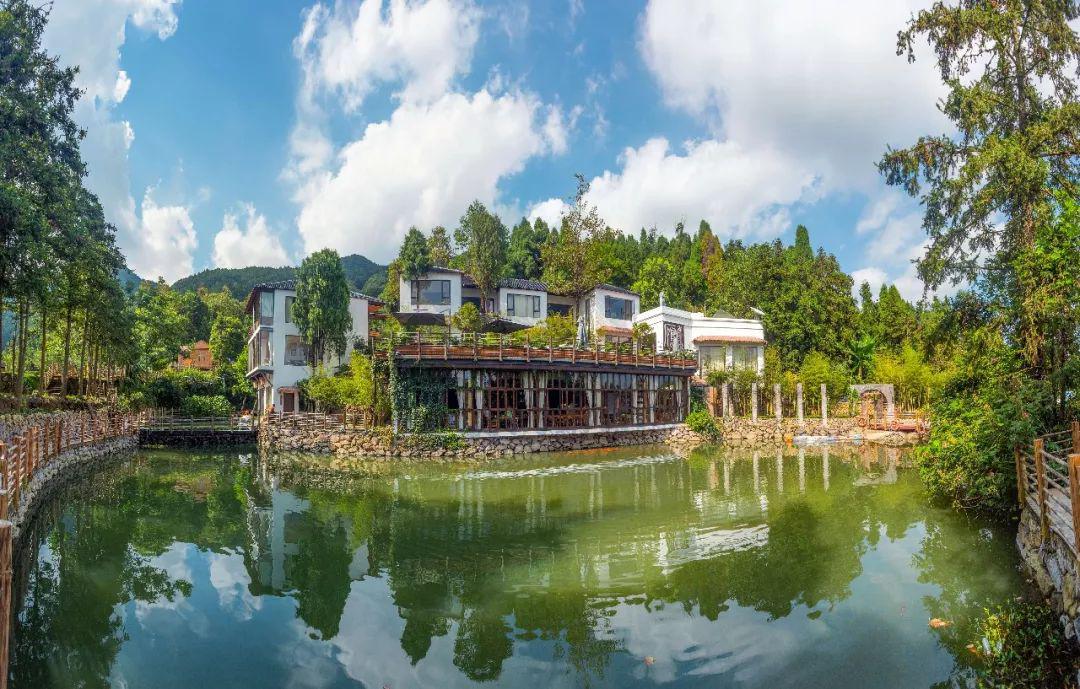 乐清新增1处森林康养基地快来体验森呼吸