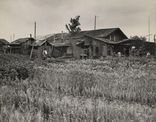 这是50年代日本农村照片,几个日本村妇在聊天.50年代电影院宣传海报.