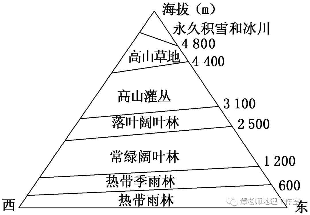 垂直地域分布图片