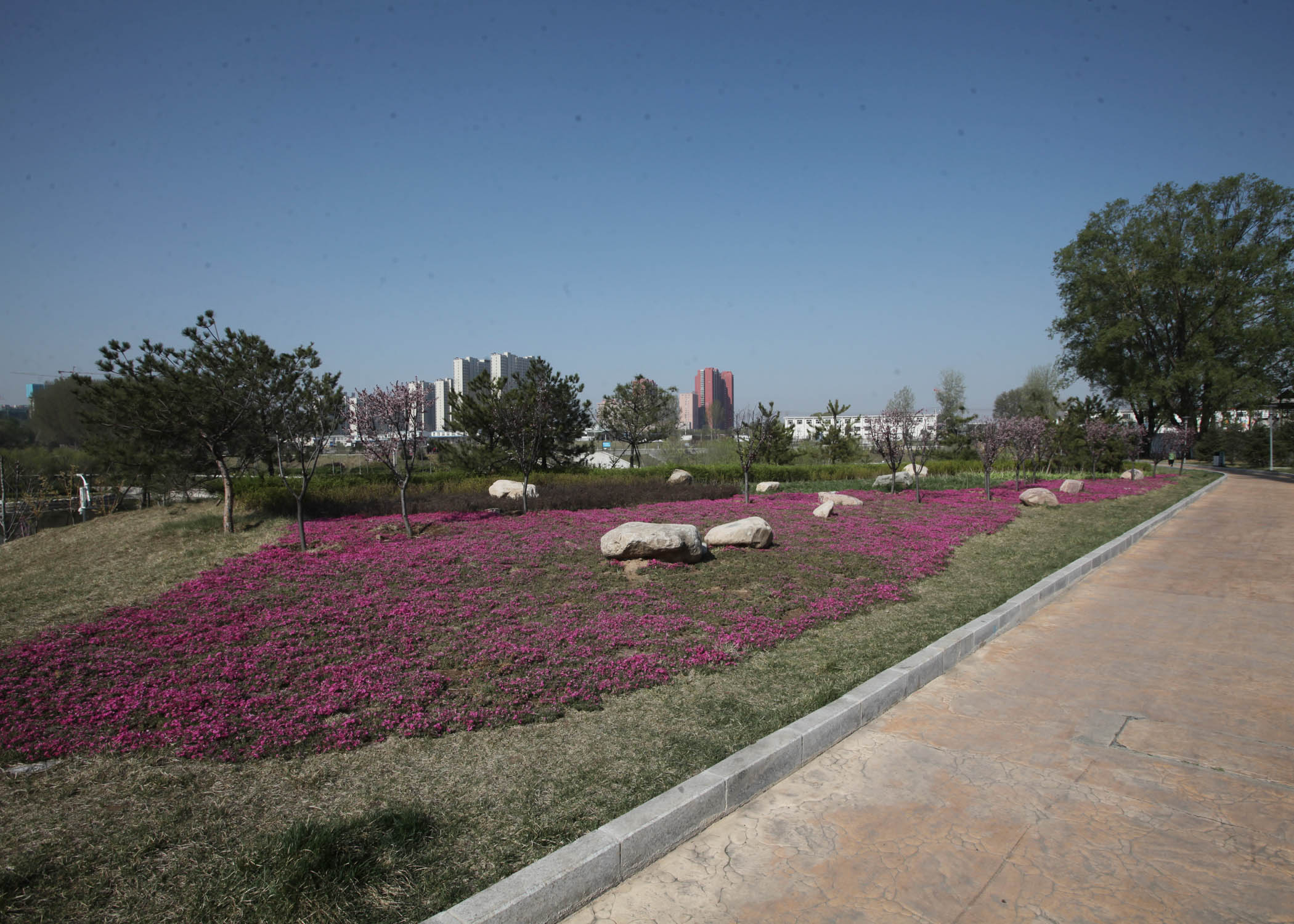 筆者騎自行車從太行公園開始騎行,途經長子門公園,淮海公園,濱河公園