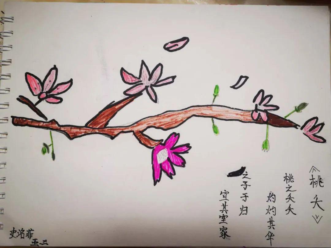 桃花现代诗诗配画图片