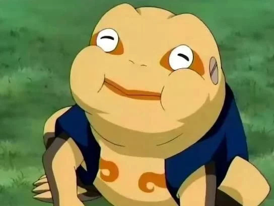 火影忍者木叶村中的4只可爱宠物蛤蟆龙上榜豚豚人气最高