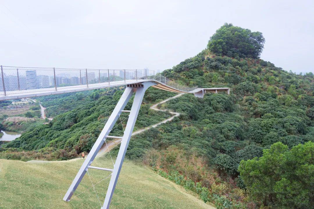 高颜值下的有趣灵魂网红悬空浮桥开放深圳最美山湖绿道霸屏