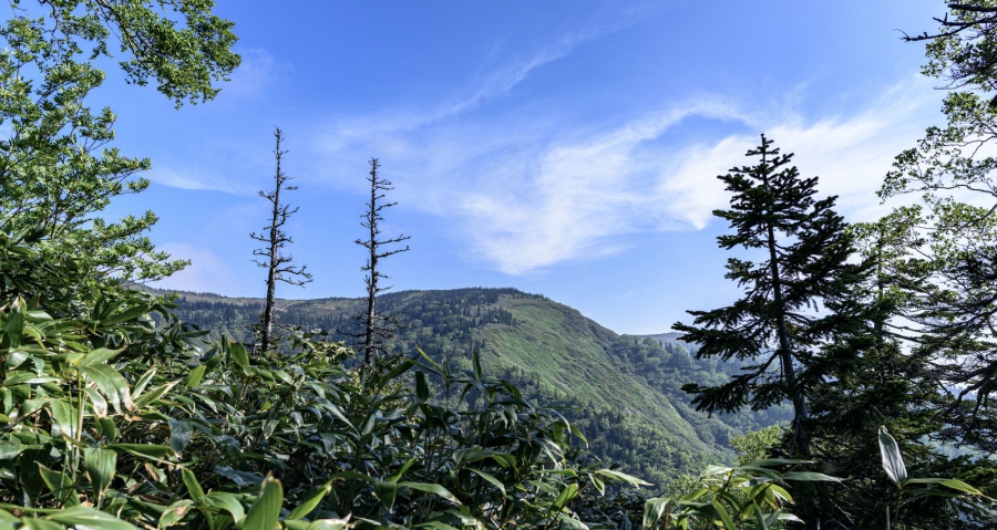 二季度家电市场就靠抢,空调红四月,电视战商用,轻厨新航道-家电圈官网