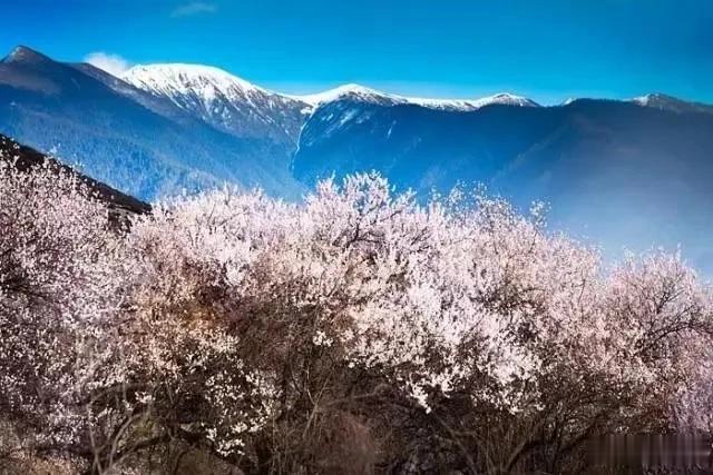 疫情过后阳光正好来太白山找寻最美的世外桃源