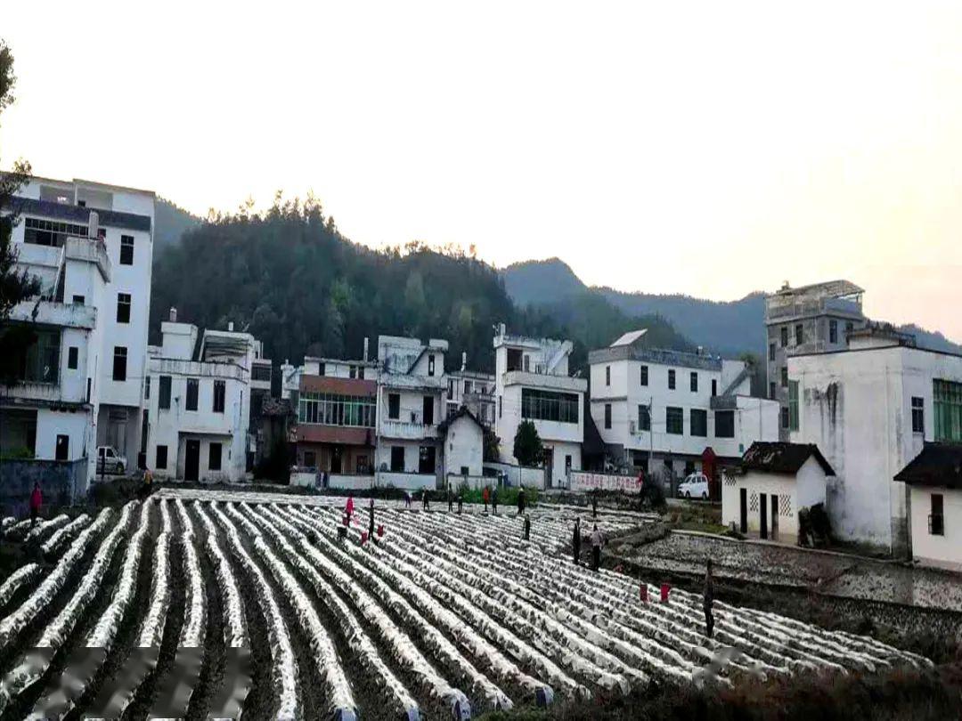 赣县石芫春天的来临!