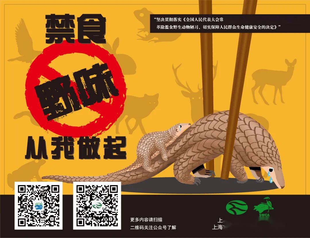云听鸟鸣网观鸟飞第39届上海市爱鸟周今天正式开启奖品等你来