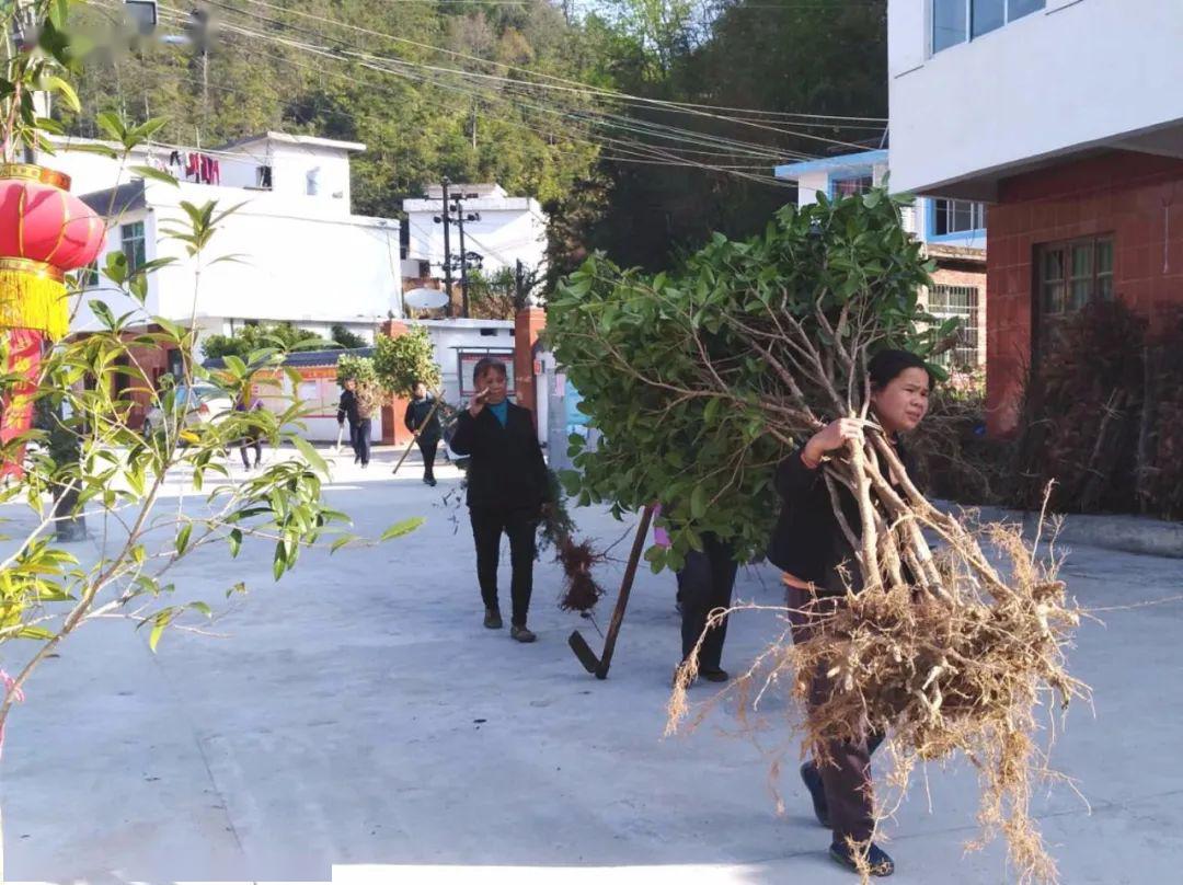 赣县石芫春天的来临!