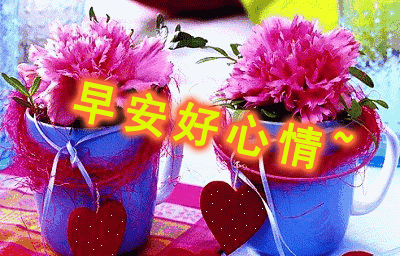 有恰到好处的遇见,也有撕心裂肺的怀念_亲爱的朋友